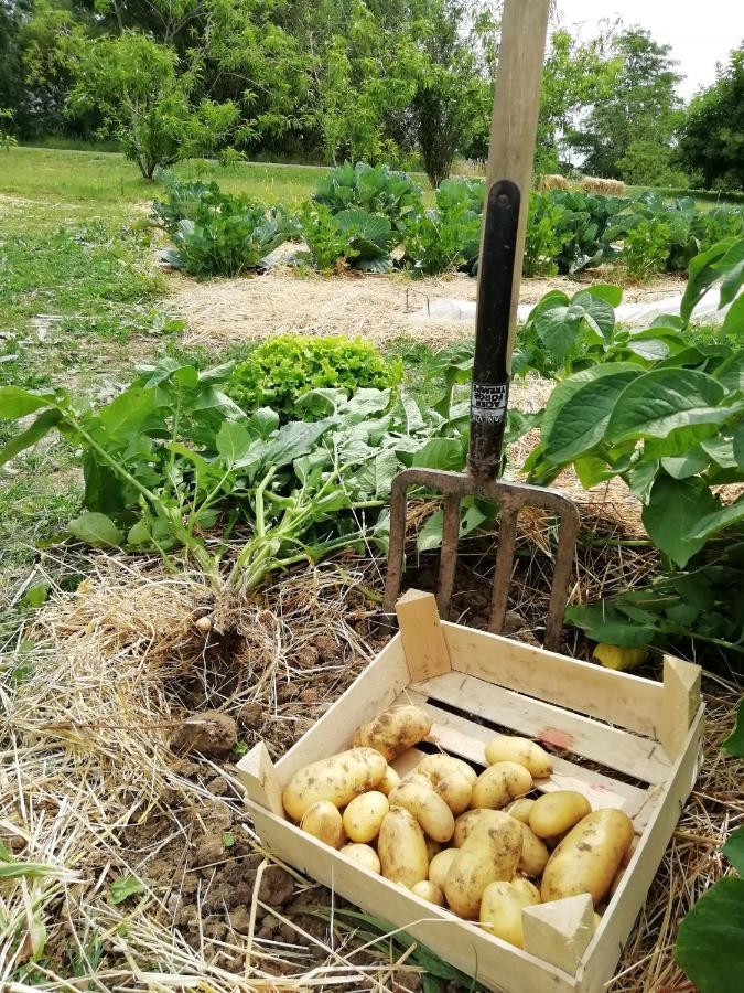 La Planche Princee, Chambres D'Hotes Ecolo Et Potager Bio, Sauna Les Rosiers Exterior foto